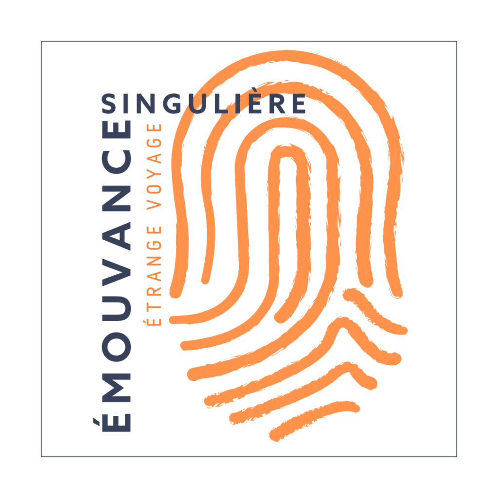 émouvance singulière - étrange voyage - visuel général