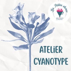 Atelier d’initiation au cyanotype – Découvrez l’art bleu !